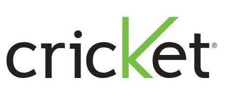 cricket-2