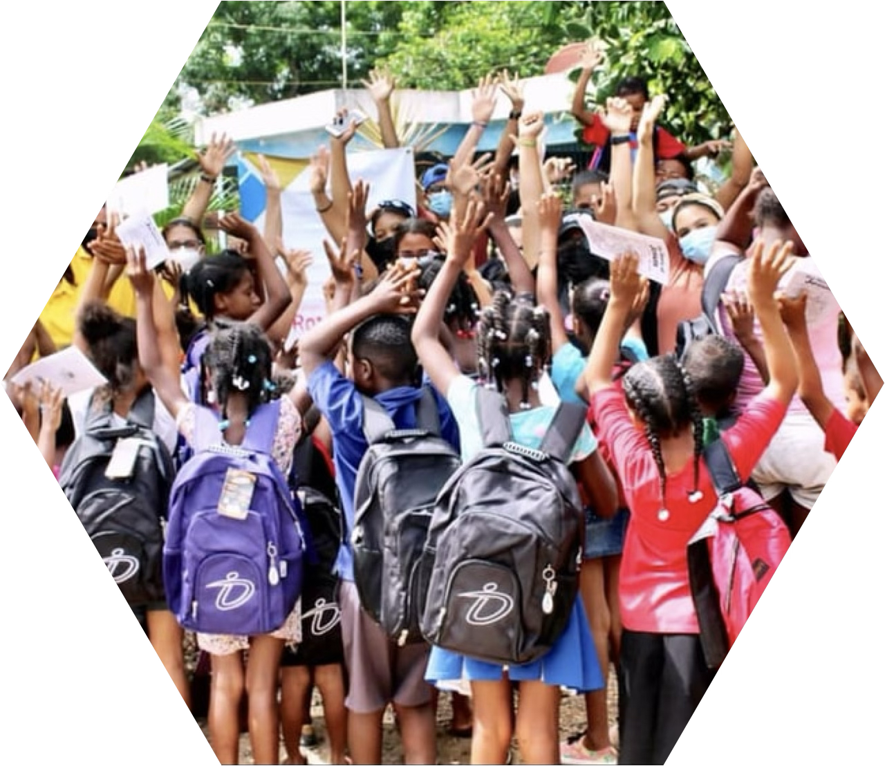 Sustainabilituy - Masthead Hexagon